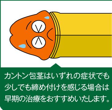 かんとんほう|【泌尿器科の専門医が解説】嵌頓（カントン）包茎の。